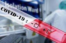 Три очага COVID-19 выявили в трех организациях Тюменской области