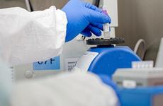 Медики из Пятигорска создали подавляющий COVID-19 препарат