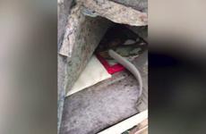 В Самарской области задержали автомобиль с 20 кг героина