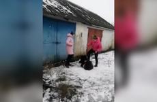 Конфликт школьниц в Данкове привел к смене кадров