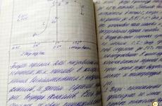 Итоги регионального этапа Всероссийской олимпиады школьников подвели на Вологодчине