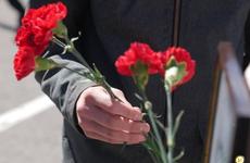 Имена 15 тысяч красноармейцев увековечили вологодские поисковики