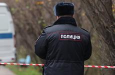 Под Рязанью нашли тело убитой знакомой фигурантов дела «Сети»