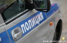 Завершилось голосование за участниц конкурса «Краса вологодской полиции»