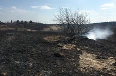 13 вологжан спасли из горящего дома на улице Конева
