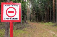 Жителям Ростовской области объяснили причину запрета на охоту и посещение дачи