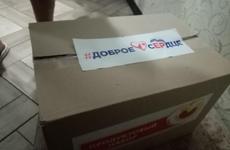 В Ставрополе пенсионерам развозят продуктовые подарки от «Доброго сердца»