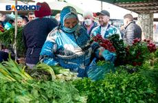 В Волгограде индекс самоизоляции оказался в «красной» зоне
