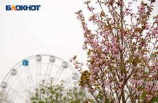 К 9 мая Михайловку Волгоградской области украсили символы Победы
