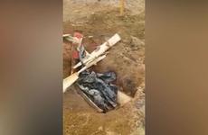Медведь разрыл могилу на новом кладбище в Тынде