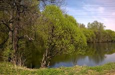 Четырехлетний мальчик утонул в пруду в Городищенском районе