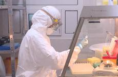 49 медиков и пациентов "скорой помощи" в Алтайском крае заражены COVID-19