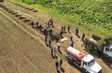 Оренбургская область получила 1000 саженцев для Сада Памяти