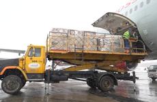 COVID в Магадане: чаще заражаются местные, закрылась детская больница, карантин "Статуса"