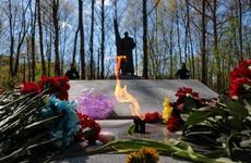 В Ленобласти в День Победы возложили цветы к монументам защитников Родины