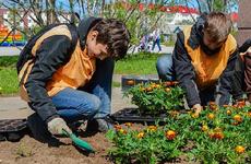 Предприятия Нарьян-Мара трудоустраивают подростков на лето