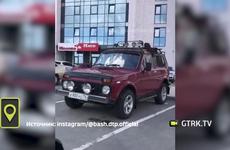 Рой пчел атаковал автомобиль в Уфе: видео