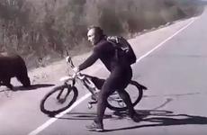 Противостояние велосипедиста и медведя на Камчатке попало на видео