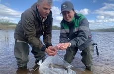 ООО «Башнефть-Полюс» выпустило около миллиона мальков в реку Сулу