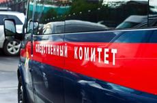 В Татарстане мать била полуторагодовалого сына кнутом