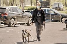 В Ростовской области COVID-19 за сутки подтвердился у 141 человека