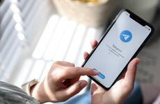 Волин объяснил решение о разблокировке Telegram