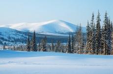 Таяние вечной мерзлоты угрожает миллиардным ущербом России