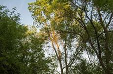 Еще 102 человека заразились коронавирусом в Волгоградской области
