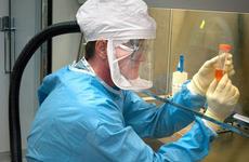 109 новых случаев заражения коронавирусом выявили в Ростовской области