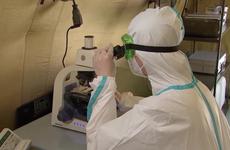 В Минздраве оценили ситуацию с коронавирусом в Дагестане