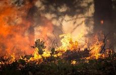 В Бурятии горел магазин
