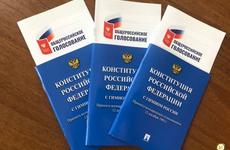 Голосование по поправкам в Конституции на Вологодчине проходит под контролем более 4 тысяч общественных наблюдателей