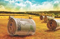 Ставрополье экспортирует сельхозпродукцию на 180 миллионов долларов