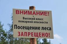 На три недели запретили посещать леса в Ростовской области