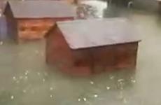 Из-за ливня затопило ростовский Центр безнадзорных животных