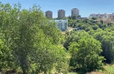 В пойме Царицы в Волгограде появятся фруктово-ягодные сады