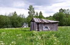 Под Волгоградом сын убил мать, тело спрятал в сарае и полгода получал ее пенсию