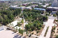 В парке Гагарина в Волгограде откроют аллею ВДВ