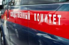Следователи проведут проверку после инцидента на аттракционе в ставропольском парке