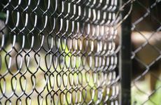 Прокуратура проведет проверку мини-зоопарка в Таганроге после публикаций о плохом содержании животных