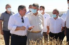 Губернатор Волгоградской области нашел позитив в полях