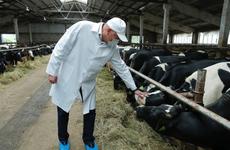 Губернатор области Олег Кувшинников посетил строящийся животноводческий комплекс в Моссееве