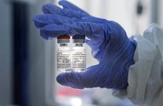 В России стартовало промышленное производство вакцины от коронавируса