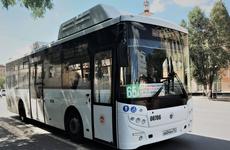 В Ростове составили более 300 протоколов за нарушение масочного режима в общественном транспорте
