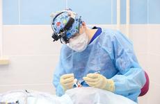 Врач, сельский учитель и повар. Какие профессии востребованы в Ненецком округе?