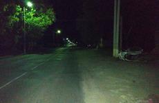 Под Волгоградом иномарка влетела в столб