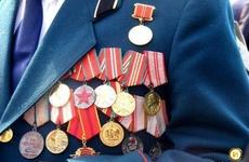 «Сирень Победы» высадили в Череповце