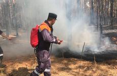 Лесной пожар в Ростовской области удалось локализовать