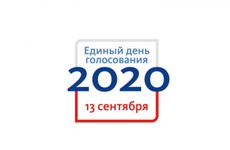 Наблюдателей Ленобласти обучили работать по «золотому стандарту» на выборах