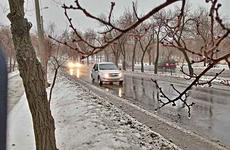 Дождь со снегом и гололёд: погода в Волгограде и области 10 января